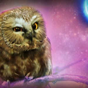 an owl sitting on a branch with a moon in the background