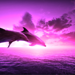 two dolphins jumping over the sea in a purple sunset